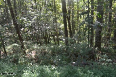 Tiny photo for 2121 Riley Creek Rd, Whitleyville, TN 38588 (MLS # 1355468)