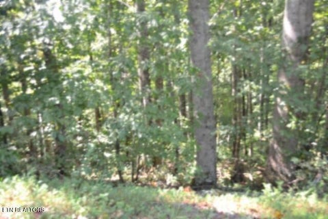 Tiny photo for 2121 Riley Creek Rd, Whitleyville, TN 38588 (MLS # 1355468)