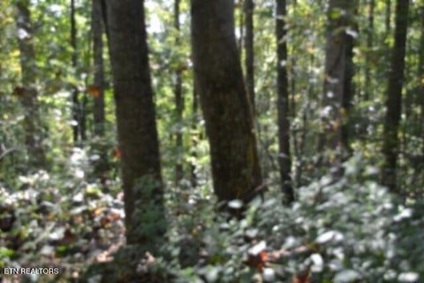 Tiny photo for 2121 Riley Creek Rd, Whitleyville, TN 38588 (MLS # 1355468)