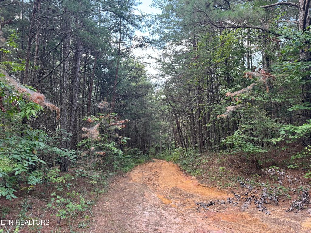 Photo of Hannah Davidson Rd, Robbins, TN 37852 (MLS # 1314059)