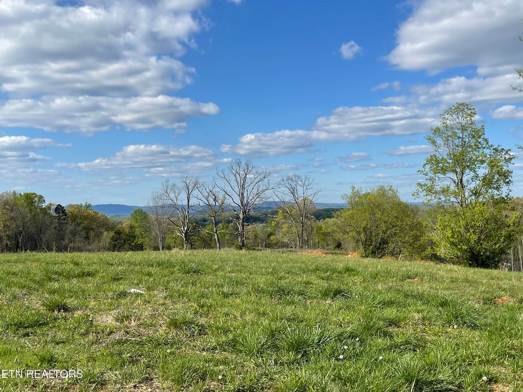 Photo of 6 Laura Boling Loop Rd, Strawberry Plains, TN 37871 (MLS # 1297326)