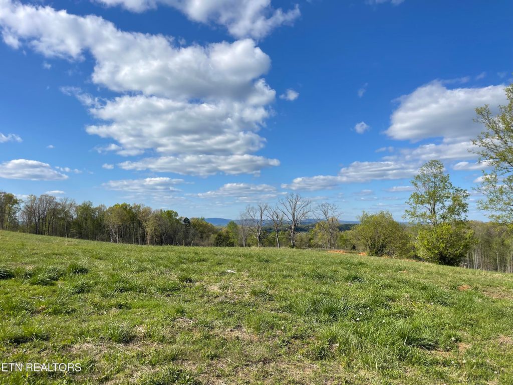 Photo of 6 Laura Boling Loop Rd, Strawberry Plains, TN 37871 (MLS # 1297326)