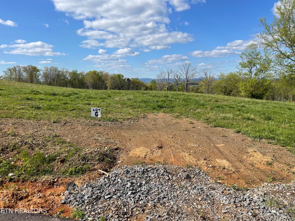 Photo of 6 Laura Boling Loop Rd, Strawberry Plains, TN 37871 (MLS # 1297326)