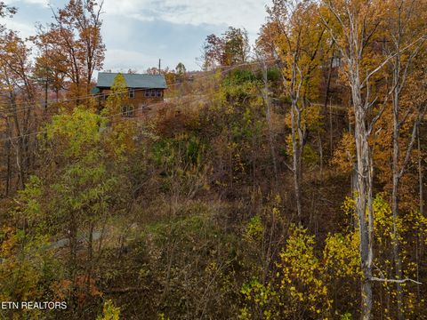 Tiny photo for 815 Red Fox Tr, Gatlinburg, TN 37738 (MLS # 1326370)