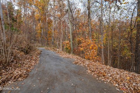 Tiny photo for 815 Red Fox Tr, Gatlinburg, TN 37738 (MLS # 1326370)