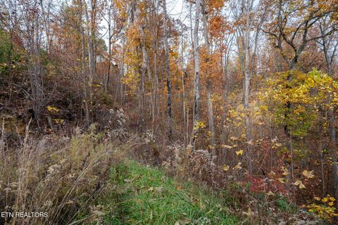 Tiny photo for 815 Red Fox Tr, Gatlinburg, TN 37738 (MLS # 1326370)