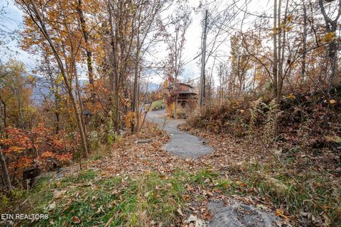 Tiny photo for 815 Red Fox Tr, Gatlinburg, TN 37738 (MLS # 1326370)