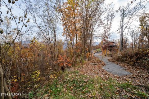 Tiny photo for 815 Red Fox Tr, Gatlinburg, TN 37738 (MLS # 1326370)