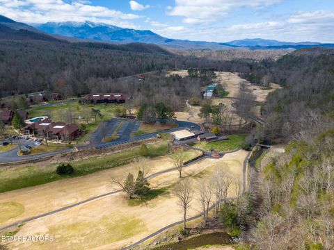 Tiny photo for 815 Red Fox Tr, Gatlinburg, TN 37738 (MLS # 1326370)