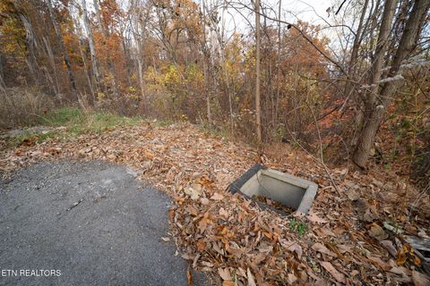 Tiny photo for 815 Red Fox Tr, Gatlinburg, TN 37738 (MLS # 1326370)