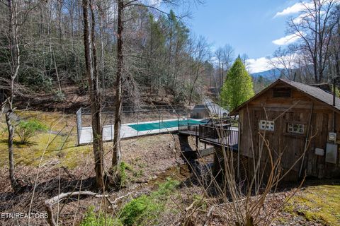 Tiny photo for 815 Red Fox Tr, Gatlinburg, TN 37738 (MLS # 1326370)