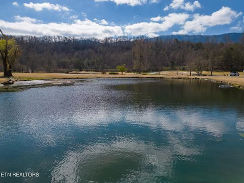 Tiny photo for 815 Red Fox Tr, Gatlinburg, TN 37738 (MLS # 1326370)