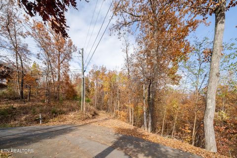 Tiny photo for 815 Red Fox Tr, Gatlinburg, TN 37738 (MLS # 1326370)