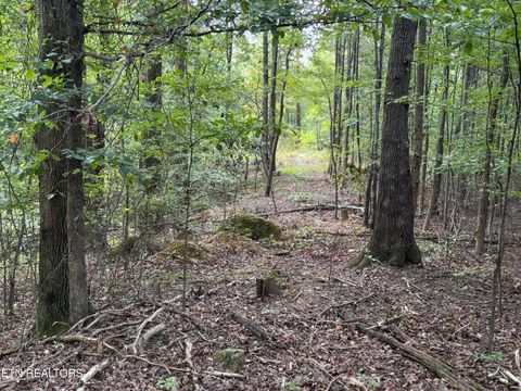Tiny photo for Riddle St, Dayton, TN 37321 (MLS # 1315733)