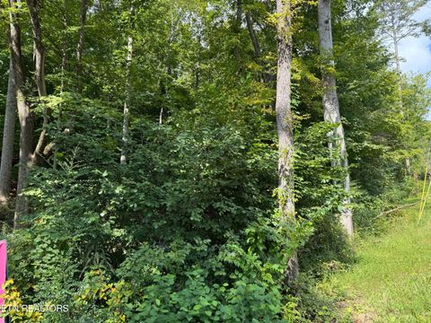 Tiny photo for Riddle St, Dayton, TN 37321 (MLS # 1315733)