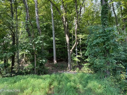 Tiny photo for Riddle St, Dayton, TN 37321 (MLS # 1315733)