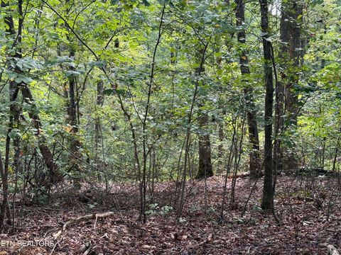 Photo of Riddle St, Dayton, TN 37321 (MLS # 1315733)