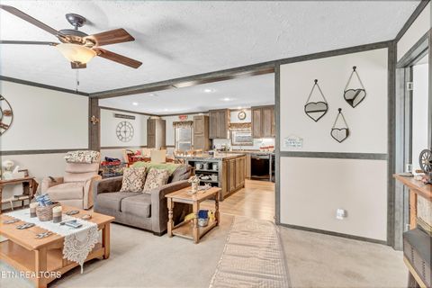 Tiny photo for 550 Ogle Drive, Pigeon Forge, TN 37863 (MLS # 1339033)