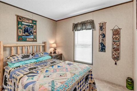 Tiny photo for 550 Ogle Drive, Pigeon Forge, TN 37863 (MLS # 1339033)