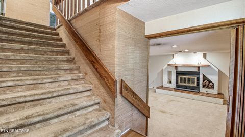 Tiny photo for 1313 S Chilhowee Drive, Knoxville, TN 37914 (MLS # 1341622)