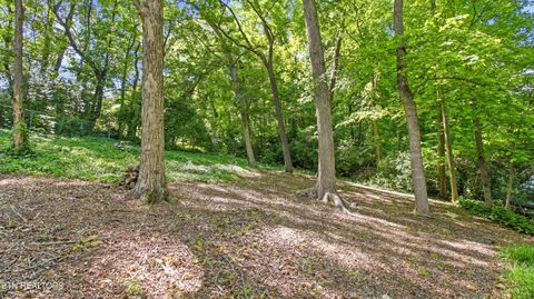 Tiny photo for 1313 S Chilhowee Drive, Knoxville, TN 37914 (MLS # 1341622)
