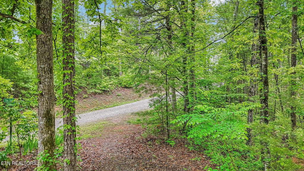 Photo of 1852 Oakwood Rd, Walland, TN 37886 (MLS # 1300924)