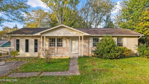 Photo of 101 Duncan Drive, Oliver Springs, TN 37840 (MLS # 1319901)