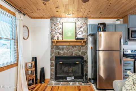 Tiny photo for 822 Christy Lane, Townsend, TN 37882 (MLS # 1328913)