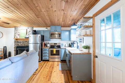 Tiny photo for 822 Christy Lane, Townsend, TN 37882 (MLS # 1328913)