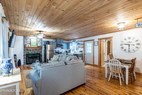 Tiny photo for 822 Christy Lane, Townsend, TN 37882 (MLS # 1328913)