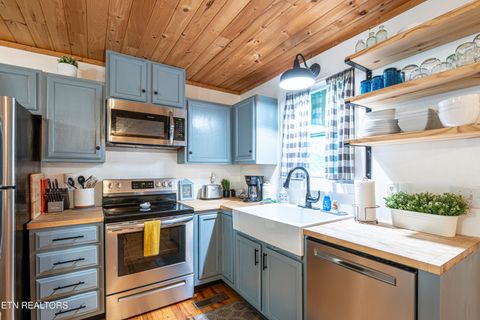 Tiny photo for 822 Christy Lane, Townsend, TN 37882 (MLS # 1328913)