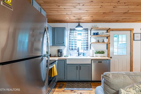 Tiny photo for 822 Christy Lane, Townsend, TN 37882 (MLS # 1328913)