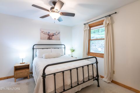 Tiny photo for 822 Christy Lane, Townsend, TN 37882 (MLS # 1328913)