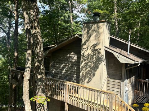 Tiny photo for 822 Christy Lane, Townsend, TN 37882 (MLS # 1328913)