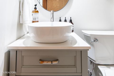 Tiny photo for 822 Christy Lane, Townsend, TN 37882 (MLS # 1328913)