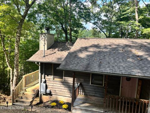 Tiny photo for 822 Christy Lane, Townsend, TN 37882 (MLS # 1328913)