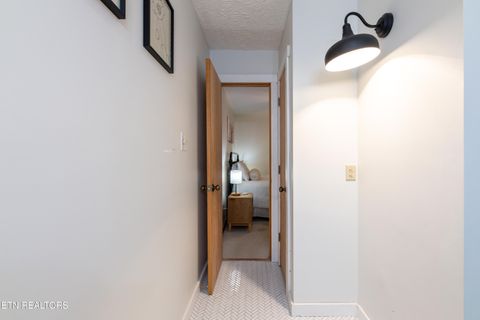 Tiny photo for 822 Christy Lane, Townsend, TN 37882 (MLS # 1328913)