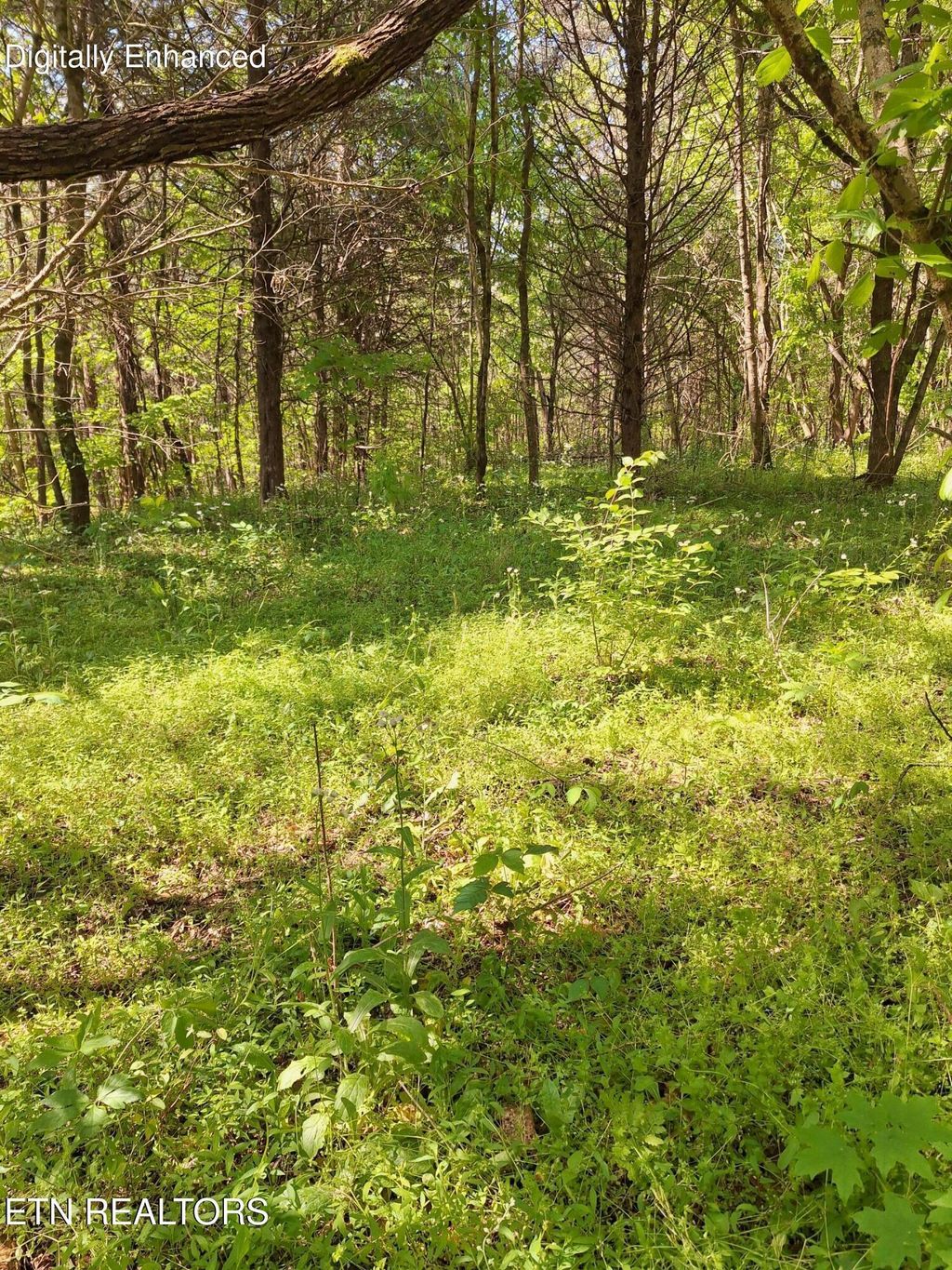 Photo of Payne Rd, Tellico Plains, TN 37385 (MLS # 1338537)