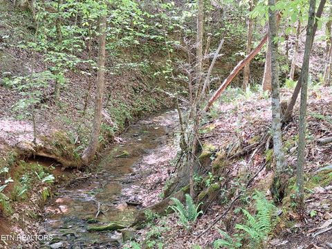 Photo of Payne Rd, Tellico Plains, TN 37385 (MLS # 1338537)