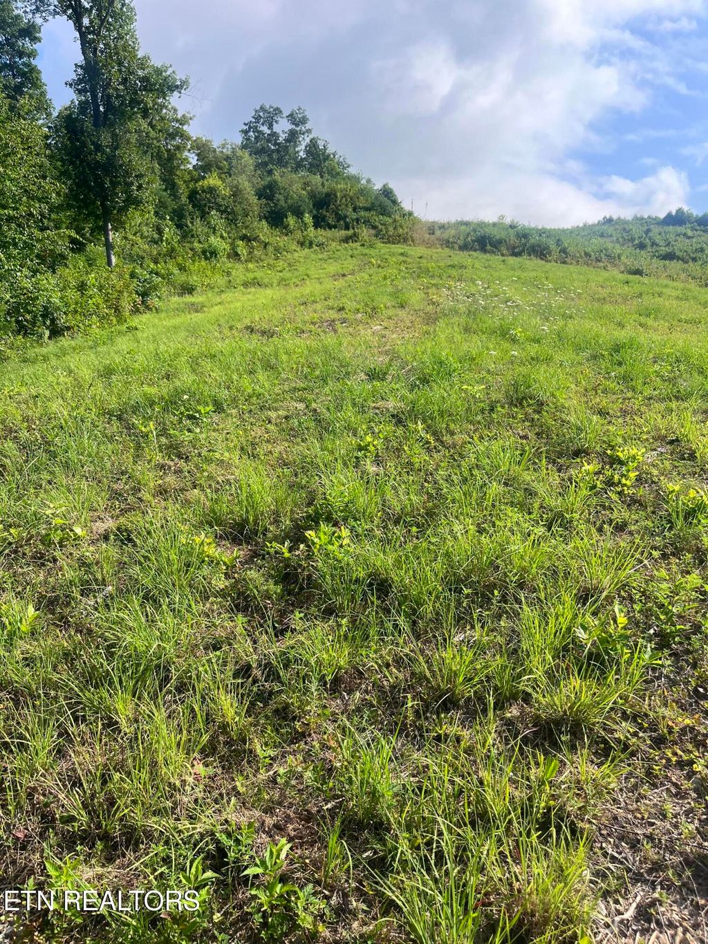 Photo of Tower Rd, Tazewell, TN 37879 (MLS # 1311355)