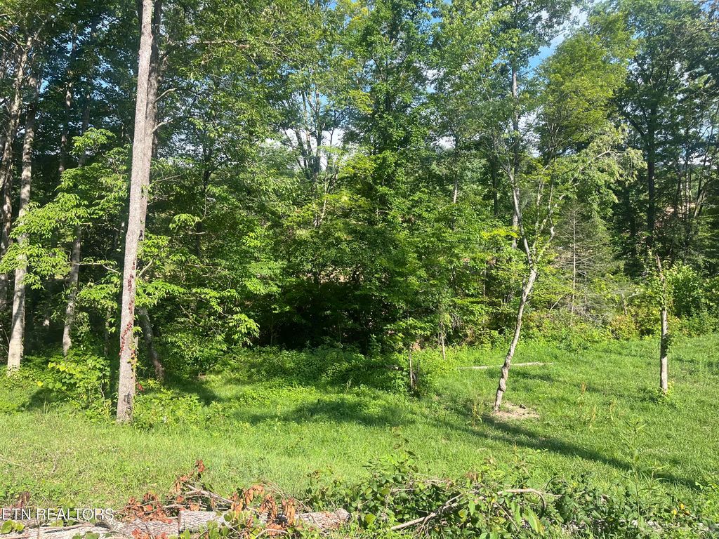 Photo of Tower Rd, Tazewell, TN 37879 (MLS # 1311355)