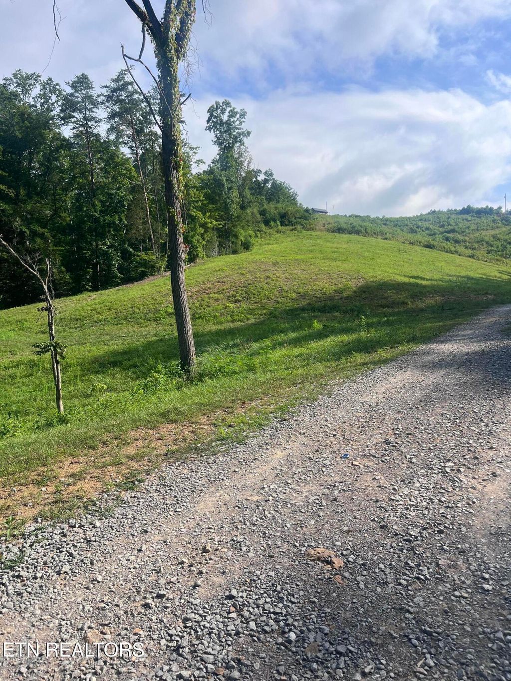 Photo of Tower Rd, Tazewell, TN 37879 (MLS # 1311355)