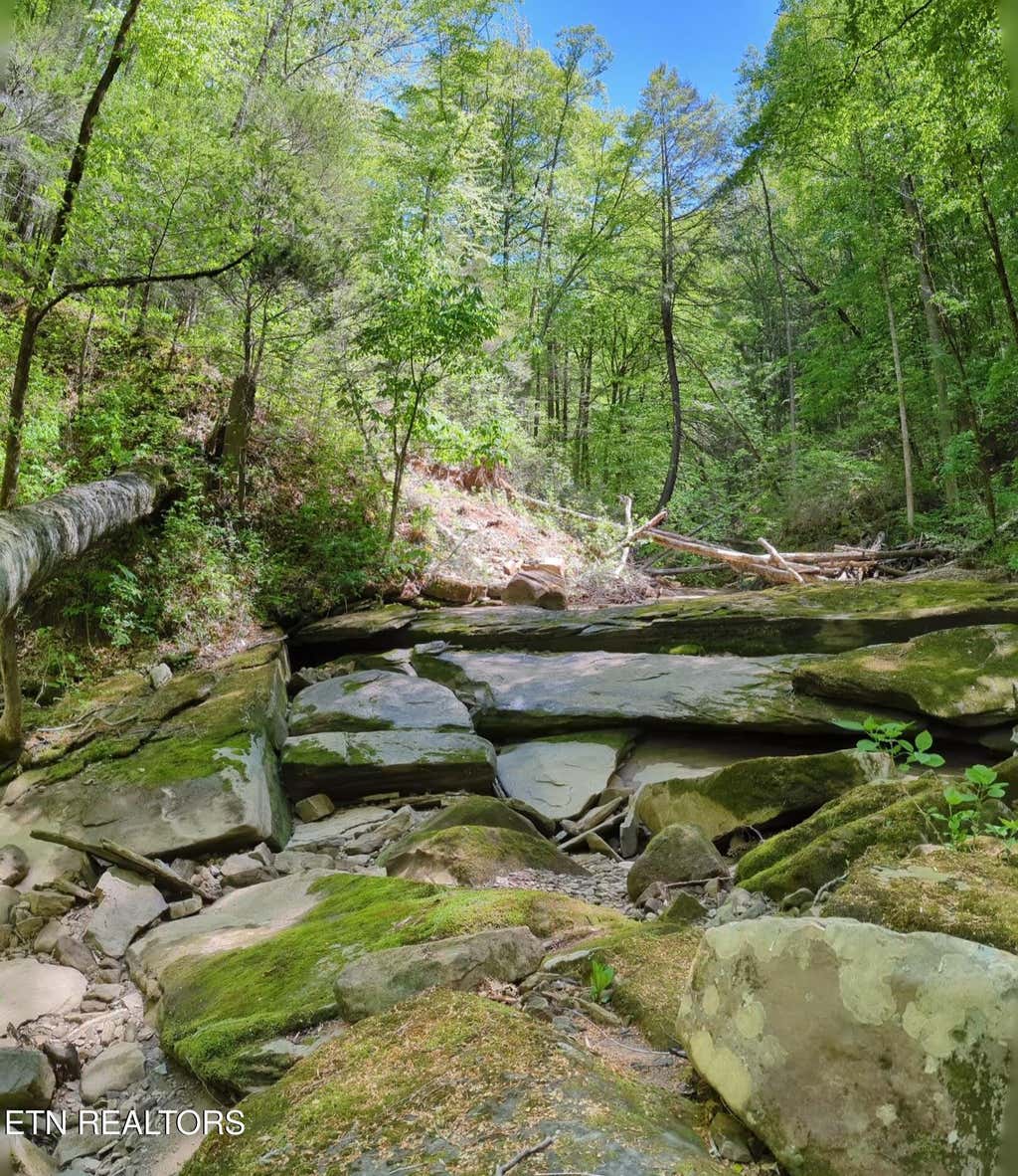 Photo of Cherokee Path, Jamestown, TN 38556 (MLS # 1345412)
