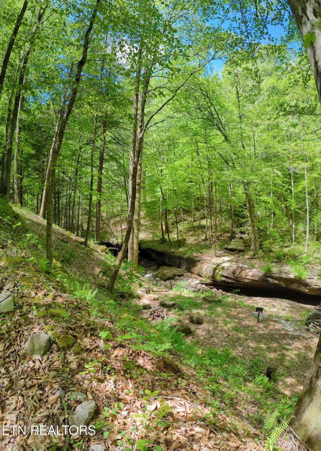 Photo of Cherokee Path, Jamestown, TN 38556 (MLS # 1345412)