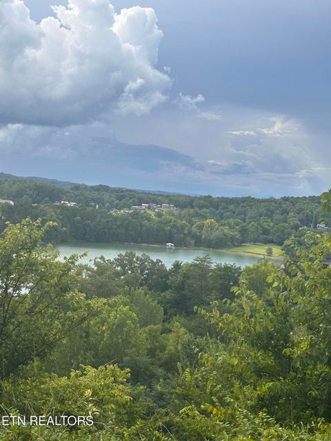 Tiny photo for 2312 Mary Alice Way, Sevierville, TN 37876 (MLS # 1348088)