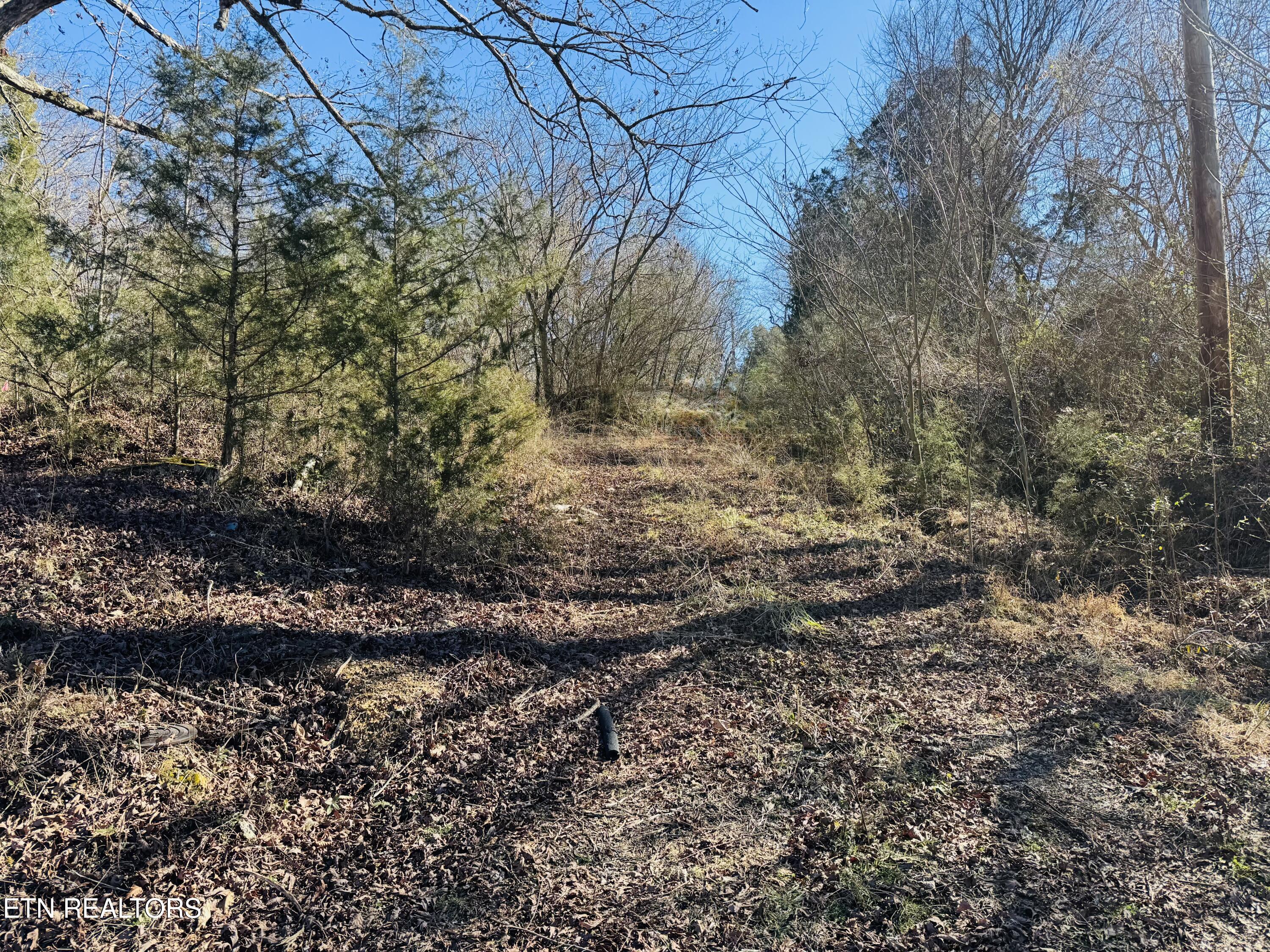 409 Carroll Hollow Rd