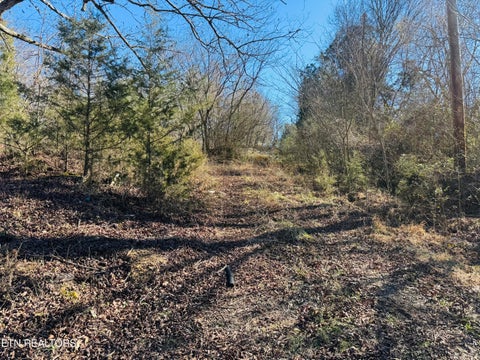 Tiny photo for 409 Carroll Hollow Rd, Clinton, TN 37716 (MLS # 1329316)