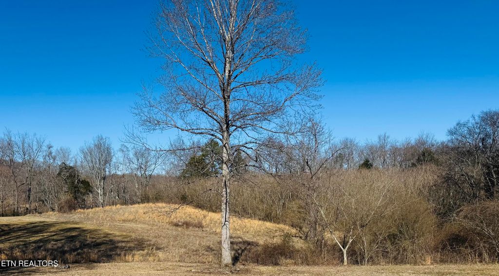 Photo of 409 Carroll Hollow Rd, Clinton, TN 37716 (MLS # 1329316)