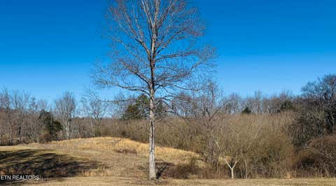 Tiny photo for 409 Carroll Hollow Rd, Clinton, TN 37716 (MLS # 1329316)
