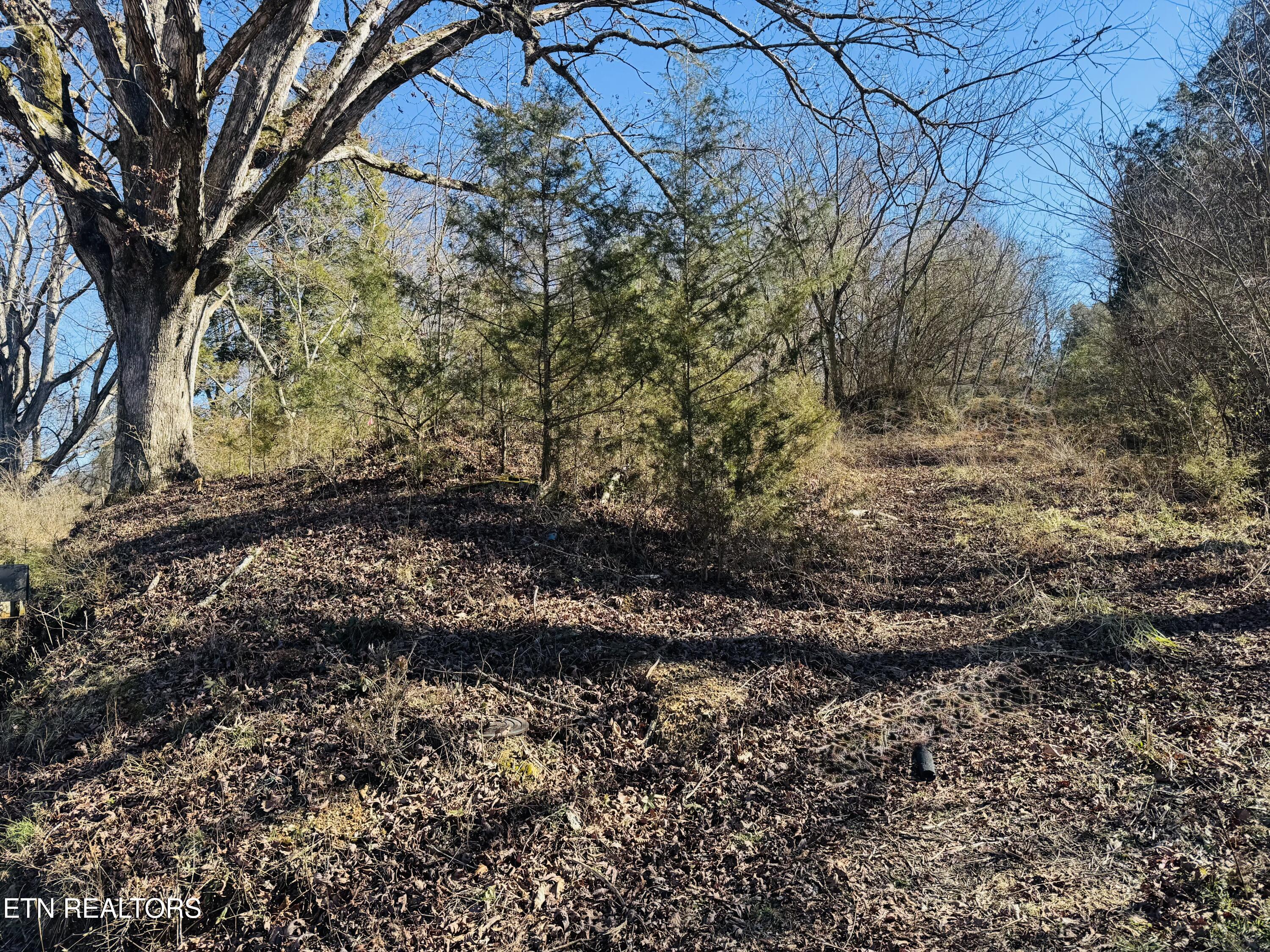 409 Carroll Hollow Rd